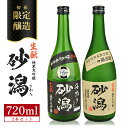 【ふるさと納税】初孫「生もと純米大吟醸 砂潟」「生もと純米大吟醸 原酒 海鳴り 砂潟」 720ml×2本 限定醸造・酒田の砂潟720セット 冷蔵便 ※離島発送不可 東北 山形県 酒田市 庄内地方 庄内平野 東北銘醸 日本酒 お酒 食中酒 辛口酒 出羽燦々 飲み比べ さかた 生酛