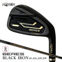 【ふるさと納税】本間ゴルフ BERES 09 BLACK IRON #5〜#11 AW SW 9本組 ゴルフクラブ アイアン セット
