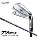 【ふるさと納税】本間ゴルフ T//WORLD Hx EZ-C IRON #A 1本 ゴルフクラブ アイアン ツアーワールド