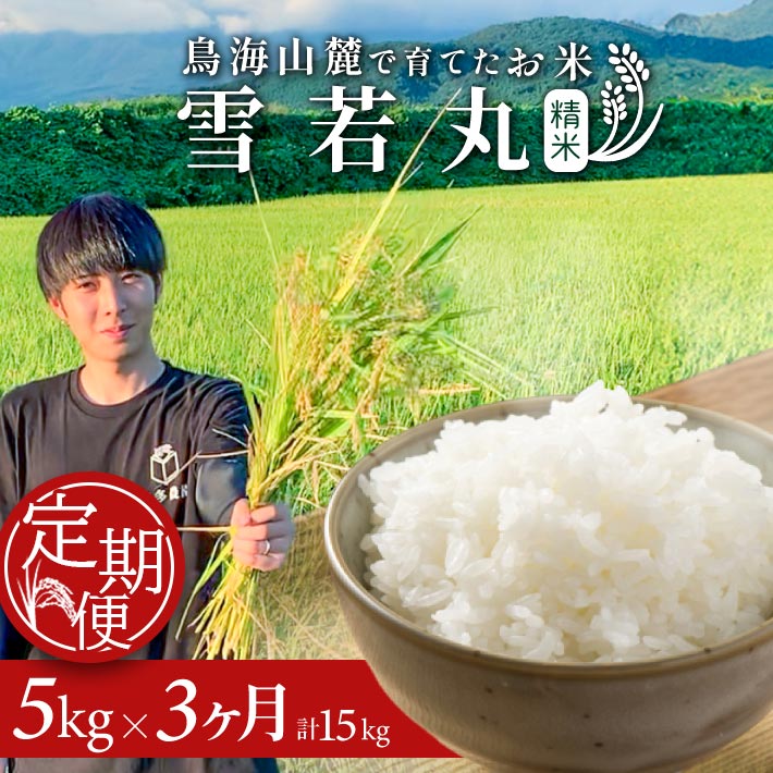 【ふるさと納税】≪3ヶ月定期便≫ 雪若丸 5kg×3ヶ月連続 計15kg 精米 令和7年産米 山形県酒田産 ご希望期間の毎月中旬にお届け 東北 山形県 酒田市 庄内地方 庄内平野 米 お米 白米 ブランド米 ご飯 ごはん 農家直送 産地直送 本多農園(4)