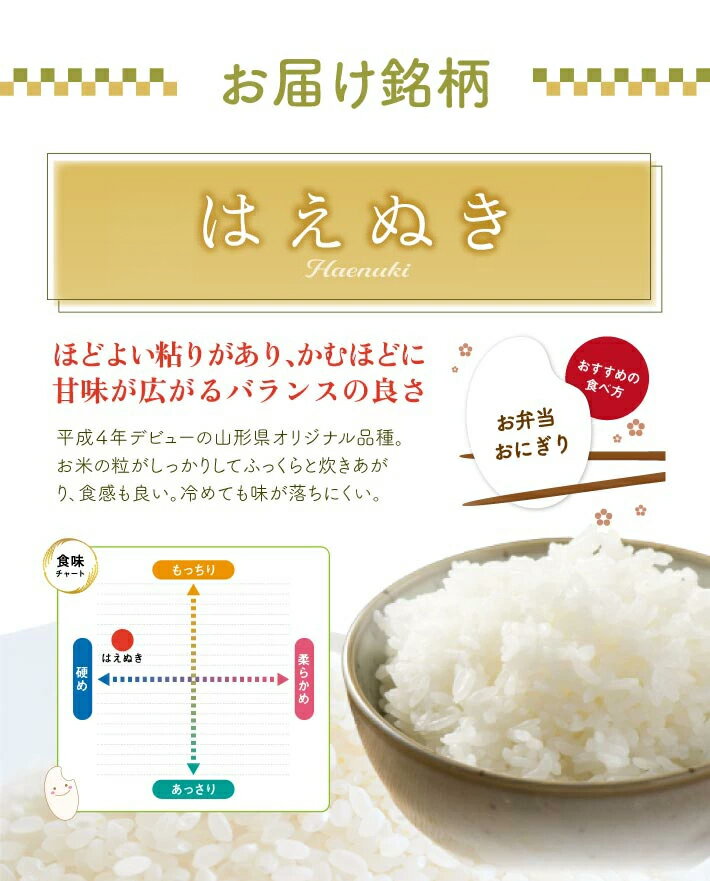 自然の恵みたっぷり！山形の名峰鳥海山麓で育てたお米　【ふるさと納税】≪新米予約≫ はえぬき 精米 計10kg 5kg×2袋 令和8年産米 山形県酒田産 ご希望の時期頃お届け 東北 山形県 酒田市 庄内地方 庄内平野 米 お米 白米 ブランド米 ご飯 ごはん 農家直送 産地直送 本多農園