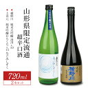 【ふるさと納税】楯野川 純米大吟醸 凌冴+10 上喜元 純米吟醸 からくち+15 なごみしずく 720ml×2本 山形県限定流通超辛口酒720ml2本セット 冷蔵便 ※離島発送不可 純米大吟醸酒 純米吟醸酒 日本酒 お酒 セット 楯の川酒造 酒田酒造 山形県限定流通 飲み比べ