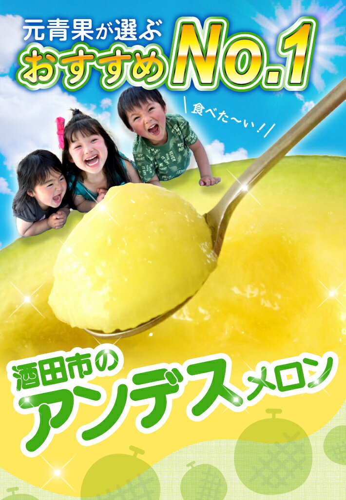 【ふるさと納税】庄内砂丘 アンデスメロン 3～5玉 約5kg 6月下旬〜7月下旬頃お届け ※着日指定不可 メロン 青肉メロン 庄内砂丘メロン 緑 夏 果物 フルーツ くだもの 旬 東北 山形県 酒田市 庄内