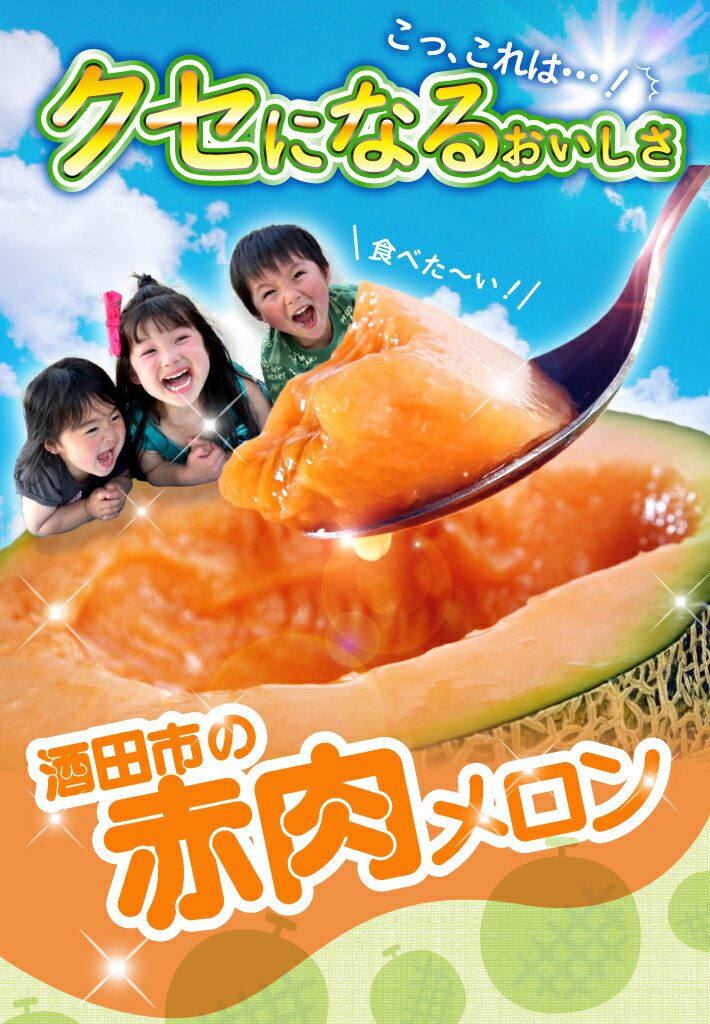 【ふるさと納税】庄内砂丘 赤肉メロン 品種おまかせ 3～4玉 約5kg 6月下旬〜7月下旬頃お届け ※着日指定不可 庄内砂丘メロン オレンジ 夏 果物 フルーツ くだもの 旬 東北 山形県 酒田市 庄内