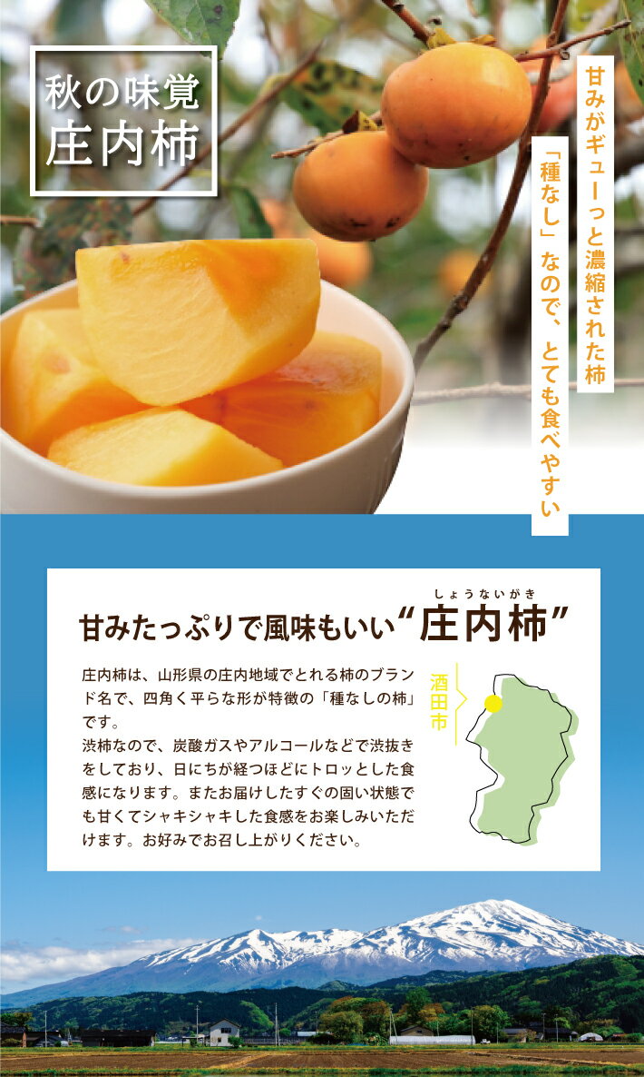 【ふるさと納税】庄内柿 L～4L 約10kg（5kg×2箱） 50〜62玉入 山形県酒田市産 10月上旬〜11月中旬頃お届け ※着日指定不可 平核無柿 種なし柿 カキ かき 柿 東北 山形県 酒田市 庄内 食の都庄内 秋 旬 フルーツ