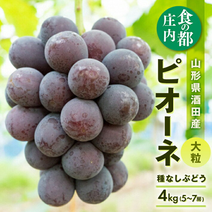 【ふるさと納税】種なし 大粒ぶどう ピオーネ 約4kg 5～7房 9月上旬〜10月上旬頃お届け 冷蔵便 ※離島発送・着日指定不可 ぶどう ブドウ 葡萄 果物 くだもの フルーツ 秋 旬 酒田 庄内