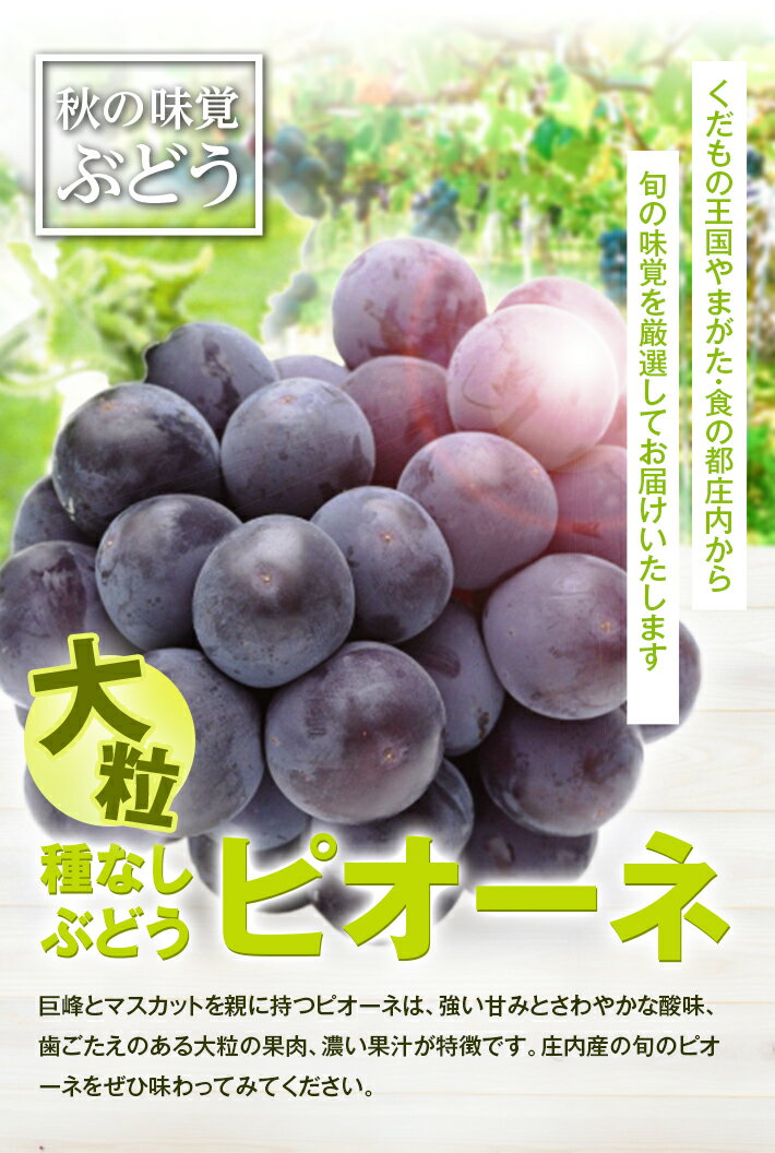 【ふるさと納税】種なし 大粒ぶどう ピオーネ 約4kg 5～7房 9月上旬〜10月上旬頃お届け 冷蔵便 ※離島発送・着日指定不可 ぶどう ブドウ 葡萄 果物 くだもの フルーツ 秋 旬 酒田 庄内