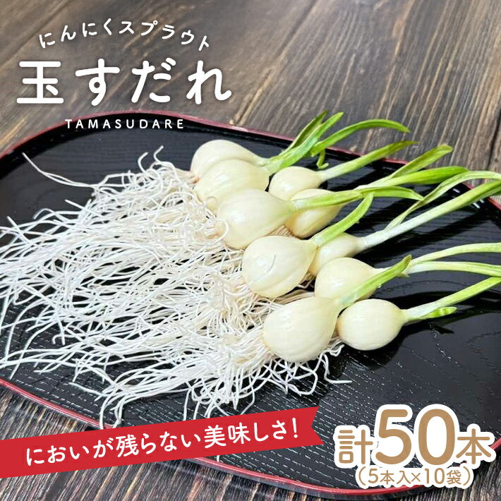 【ふるさと納税】「福地ホワイト」にんにく使用 にんにくスプラウト 玉すだれ すこやかセット 5本入×10袋 計50本 山形県酒田産 冷蔵便 ※離島発送・着日指定不可 発芽にんにく ガーリックスプラウト 完全室内型水耕栽培 農薬不使用 新鮮 安心 安全 酒田市 春 夏 秋 冬