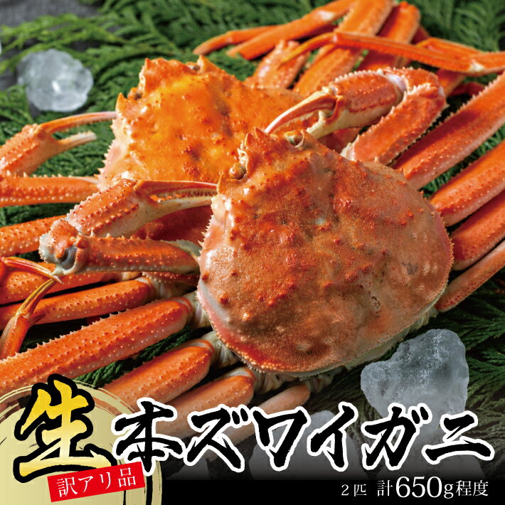 【ふるさと納税】訳あり 春の生・本ズワイガニ 2匹 計650g程度 1〜2本足取れ 酒田沖 2026年1月中旬〜3月下旬頃お届け 冷蔵便 ※着日指定・離島発送不...
