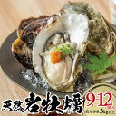 【ふるさと納税】天然岩牡蠣 9~12個入 計3kg以上 殻付き 酒田沖 6月上旬~9月上旬頃お届け 冷蔵便 ※着日指定・離島発送不可(沖縄県を含む) 東北 山形県 庄内地方 日本海 かき カキ 海産物 シーフード 海鮮 新鮮 鮮魚 まるごと 生食 期間限定