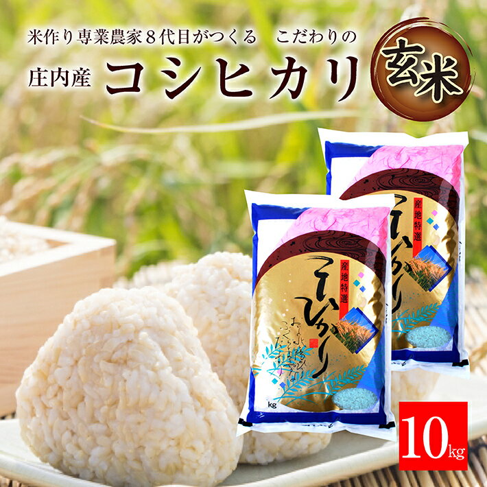 【ふるさと納税】玄米 コシヒカリ 計10kg 5kg×2袋 一等米 令和4年産米 山形県庄内産 ご希望時期頃お届け 米 庄内米 ごはん ご飯 農家直送 産地直送 東北 山形県 酒田市 庄内