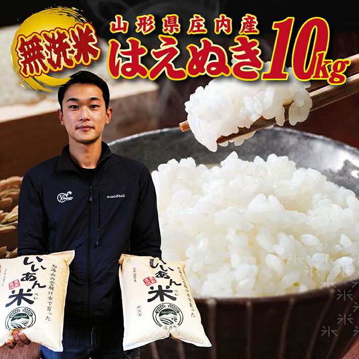 【ふるさと納税】無洗米 はえぬき 5kg×2袋 計10kg 令和5年産米 山形県庄内産 ご希望の時期頃お届け いいあん米 米 お米 庄内米 精米 白米 ごはん 東北 山形県 酒田市 庄内 農家直送 産地直送 発送時期が選べる