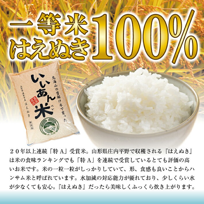 【ふるさと納税】≪新米予約≫ 無洗米 はえぬき 5kg×2袋 計10kg 一等米 令和4年産米 山形県庄内産 ご希望の時期頃お届け 米 お米 庄内米 精米 白米 ごはん 東北 山形県 酒田市 庄内 農家直送 産地直送