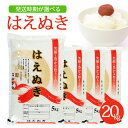 【ふるさと納税】はえぬき 5kg×4袋 計20kg 令和2年
