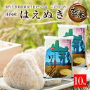 【ふるさと納税】新米 玄米 はえぬき 10kg 令和3年産米 山形県庄内産 農家直送 ご希望の時期頃にお届け 米