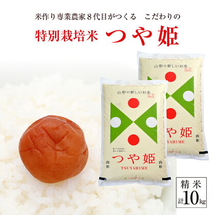 ≪新米予約≫ 特別栽培米 つや姫 計10kg 5kg×2袋 精米 令和6年産米 山形県産 ご希望の時期頃にお届け 米 白米 庄内米 ブランド米 ごはん ご飯 農家直送 産地直送 東北 山形県 酒田市 庄内 発送時期が選べる