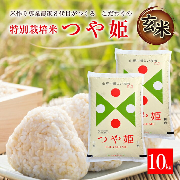 ≪新米予約≫ 玄米 特別栽培米 つや姫 計10kg 5kg×2袋 令和6年産米 山形県産 ご希望の時期頃お届け 米 庄内米 ブランド米 ごはん ご飯 農家直送 産地直送 東北 山形県 酒田市 庄内 発送時期が選べる