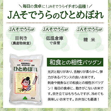 【ふるさと納税】≪定期便≫ 一等米 ひとめぼれ 5kg×12ヶ月連続 計60kg 山形県産 毎月中旬にお届け 米 定期便