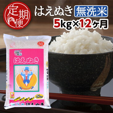 【ふるさと納税】≪定期便≫ 無洗米 はえぬき 5kg×12ヶ月連続 合計60kg 山形県産 毎月下旬にお届け 東北 酒田市 お米 精米 白米 連続定期便 簡単 手軽