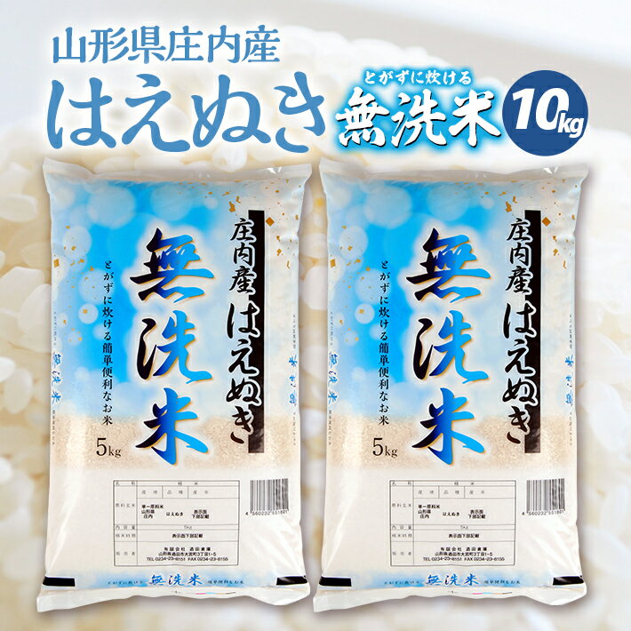 【ふるさと納税】 無洗米 はえぬき 5kg 2袋 計10kg 令和5年産 山形県庄内産 ご希望の時期頃にお届け 米 お米 精米 白米 発送時期が選べる