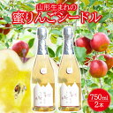 【ふるさと納税】蜜りんごシードル 750ml×2本 酒 りんご リンゴ シードル 果実酒 発泡果実酒 東北 山形県 酒田市 庄内 セット