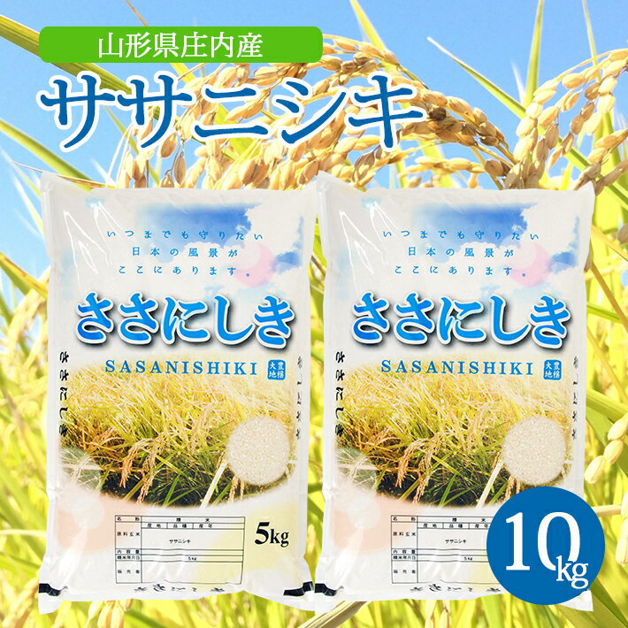 【ふるさと納税】ササニシキ 5kg×2袋 計10kg 令和5年産米 山形県庄内産 ご希望の時期頃にお届け 東北 山形県 酒田市 庄内地方 米 精米 白米 お米 ごはん ご飯 庄内米 発送時期が選べる