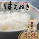 【ふるさと納税】≪容量が選べる≫米食味鑑定士厳選 新庄産はえぬき 8kg(4kg×2) /4kg(4kg×1) 米 お米 おこめ 山形県 新庄市 F3S-0309var