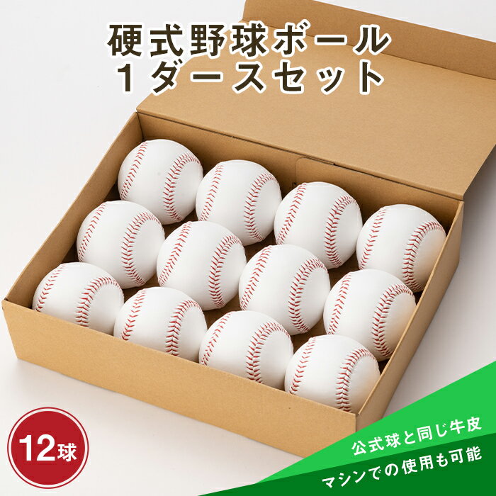 【ふるさと納税】硬式野球ボール1ダースセット ボール 野球 贈り物 ギフト プレゼント 山形県 新庄市 F3S-0594