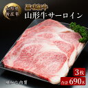 4等級以上 山形牛 サーロイン 3枚 合計690g ブランド牛 銘柄牛 肉 牛肉 山形県 新庄市 F3S-0761