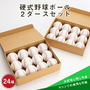 【ふるさと納税】硬式野球ボール2ダースセット ボール 野球 贈り物 ギフト プレゼント 山形県 新庄市 F3S-0809