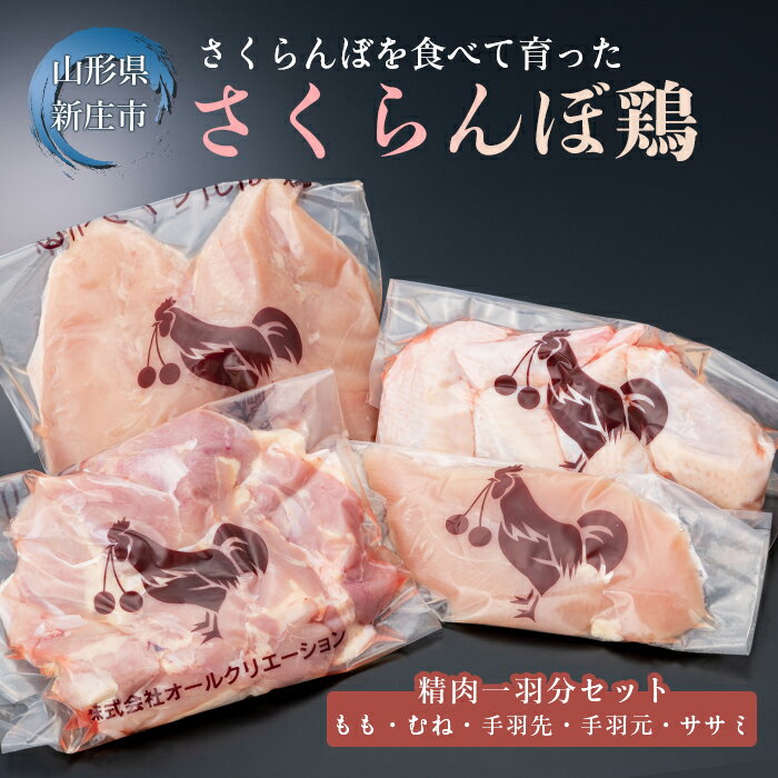 【ふるさと納税】山形県産若鶏「山形さくらんぼ鶏」精肉一羽分セット（もも500g、むね500g、手羽先・手羽元 各2本、ささみ2本） 銘柄鶏 鶏肉 肉 セット 詰合せ 食べ比べ 山形県 新庄市 F3S-1043のサムネイル