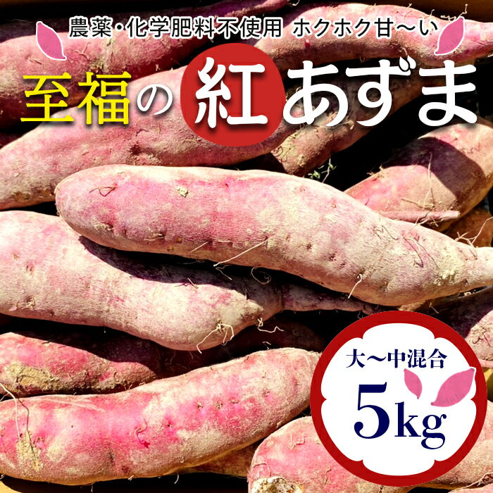 14位! 口コミ数「0件」評価「0」 栽培期間中、農薬・化学肥料不使用 ホクホク甘～い『至福の紅あずま』サイズ大～中混合5kg さつまいも サツマイモ 山形県 新庄市 F3S-･･･ 