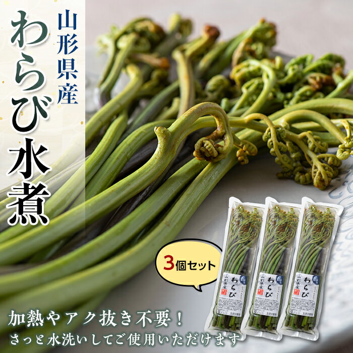 楽天山形県新庄市【ふるさと納税】山形県産わらび水煮 3個セット 山菜 無漂白 無着色 わらび 水煮 みそ汁 煮物 おひたし 炊き込みご飯 東北 F3S-1325