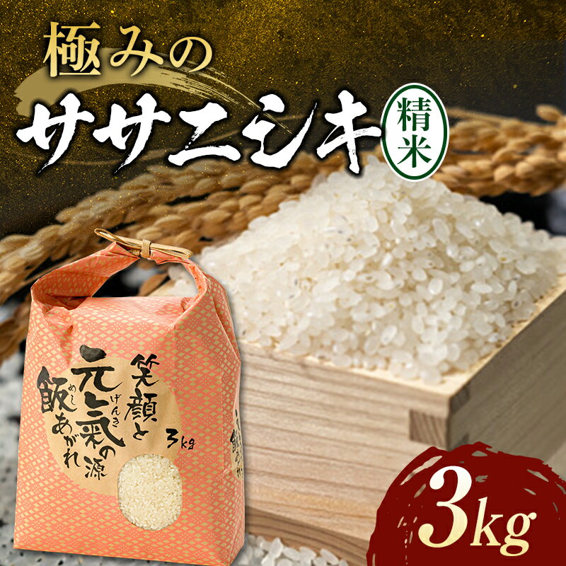 17位! 口コミ数「0件」評価「0」 【令和6年産】先行予約 極みのササニシキ（精米）3kg×1袋 米 お米 おこめ ふるさと納税 山形県 新庄市 F3S-1330