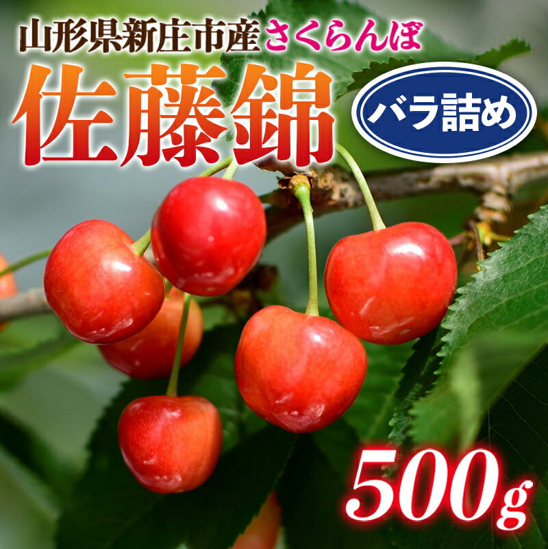【ふるさと納税】 ≪ご家庭用≫ 新庄産 さくらんぼ 「佐藤錦」 500g バラ詰め サクランボ フルーツ 果物 山形県 新庄市 F3S-1390のサムネイル