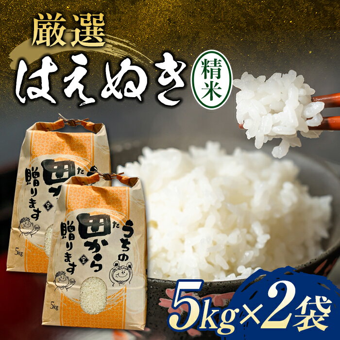 【ふるさと納税】 【先行予約】 令和6年産 厳選はえぬき(精米) 10kg（5kg×2） 米 お米 おこめ 山形県 新庄市 F3S-2199のサムネイル