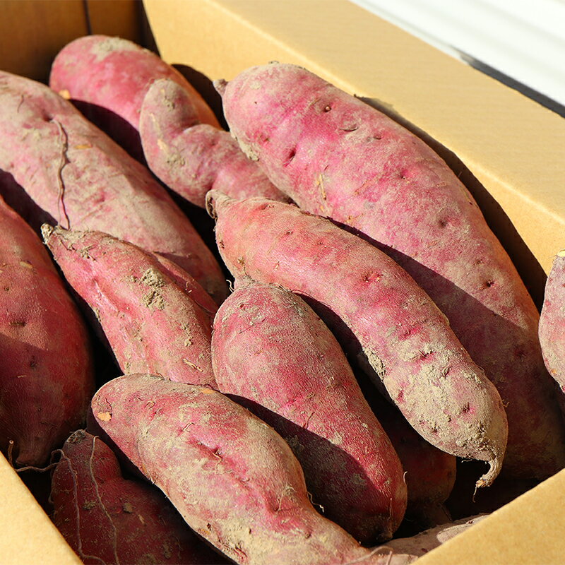 【ふるさと納税】 自然栽培 紅あずま 10kg さつまいも サツマイモ 山形県 新庄市 F3S-1943
