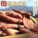 16位! 口コミ数「0件」評価「0」 自然栽培 紅あずま 2kg さつまいも サツマイモ 山形県 新庄市 F3S-1945