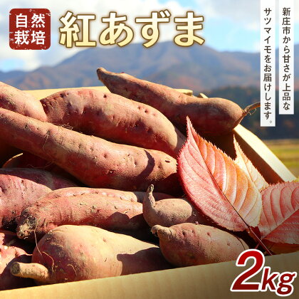 自然栽培 紅あずま 2kg さつまいも サツマイモ 山形県 新庄市 F3S-1945