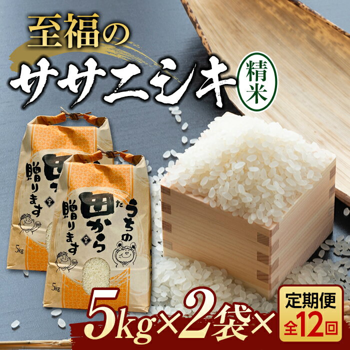 【ふるさと納税】新米令和5年 『定期便』至福のササニシキ（精米）5kg×2袋 ＜全12回＞ 米 ササニシキ 定期便 ブランド米 新米 山形県 新庄市 F3S-1598