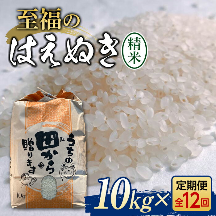 【ふるさと納税】『定期便』令和5年産米 至福のはえぬき（精米）10kg ＜全12回＞ ブランド米 銘柄米 はえぬき 定期便 米 山形県 新庄市 F3S-1610