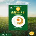 惣菜(アジアン・エスニック惣菜)人気ランク15位　口コミ数「0件」評価「0」「【ふるさと納税】山形大豆ミート やさしい大豆 山形ガパオ (120g×8パック) 大豆ミート 大豆 添加物不使用 着色料不使用 山形県 新庄市 F3S-1623」