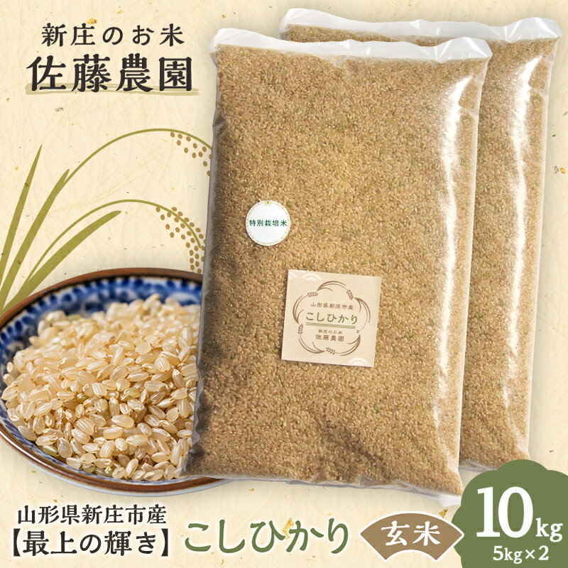 【ふるさと納税】【最上の輝き】コシヒカリ 玄米 5kg×2袋 ブランド米 米 山形県 新庄市 F3S-1650