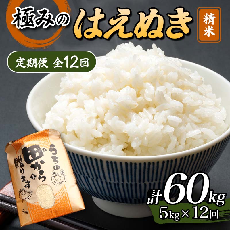 【ふるさと納税】【定期便】令和5年産 極みのはえぬき 5kg（精米）全12回 米 お米 おこめ 山形県 新庄市 F3S-1697