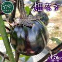 【ふるさと納税】 最上伝承野菜「畑なす」約1.5kg なす ナス 茄子 野菜 なすび 夏野菜 F3S-2197