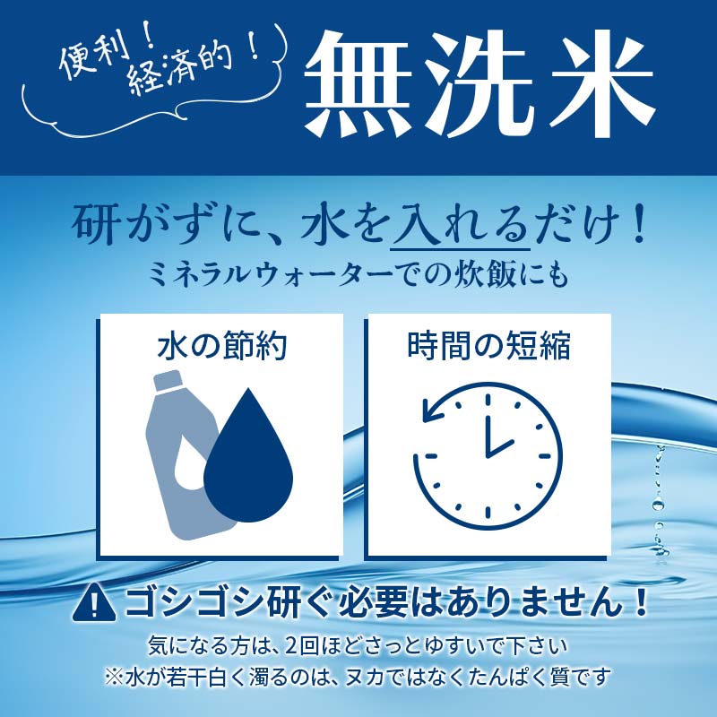【ふるさと納税】令和7年産 【無洗米】 山形県産 はえぬき 精米 10kg（5kg×2袋） 22年連続 特A受賞 米 お米 おこめ 山形県 新庄市 F3S-2503var