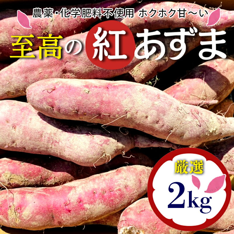 [厳選]栽培期間中、農薬・化学肥料不使用 ホクホク甘〜い『至高の紅あずま』2kg さつまいも サツマイモ 山形県 新庄市