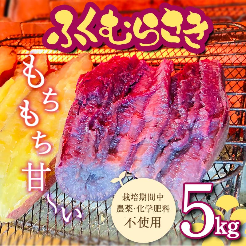 令和6年産先行予約 栽培期間中、農薬・化学肥料不使用 もちもち甘〜い『ふくむらさき』5kg さつまいも サツマイモ 山形県 新庄市