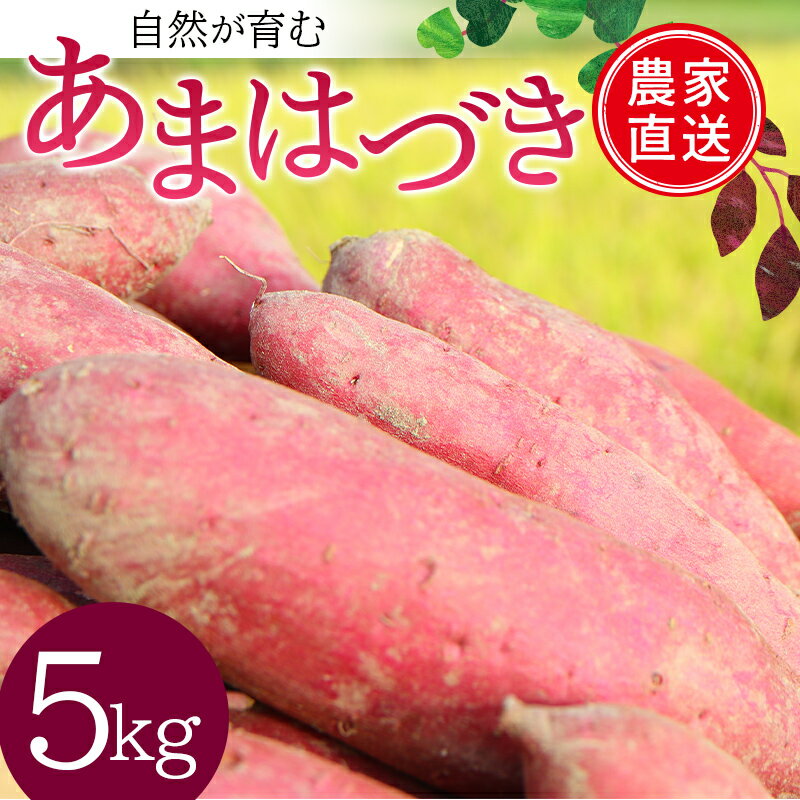 15位! 口コミ数「0件」評価「0」 自然が育む『あまはずき』5kg さつまいも サツマイモ 芋 F3S-1997