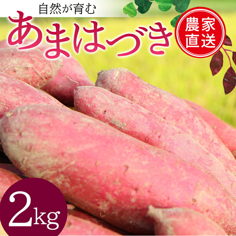 自然が育む『あまはずき』2kg さつまいも サツマイモ 芋